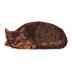 Sleeping Cat Coir Doormat