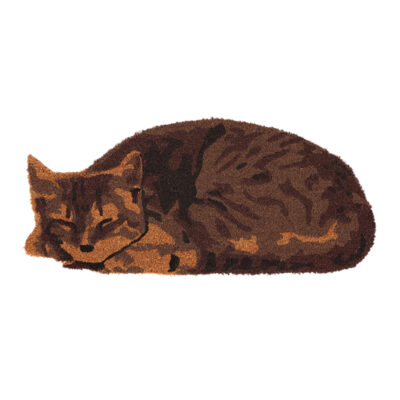 Sleeping Cat Coir Doormat
