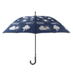 Color Changing Weather Umbrella