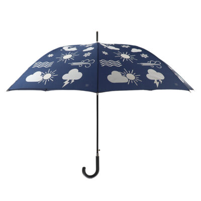Color Changing Weather Umbrella