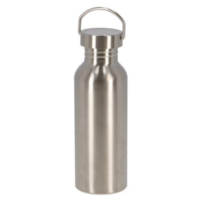 Stainless Steel Bottle
