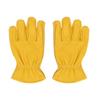 Leather Gloves, Small