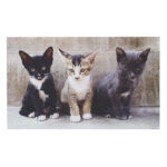 Kittens Doormat, Recycled Rubber
