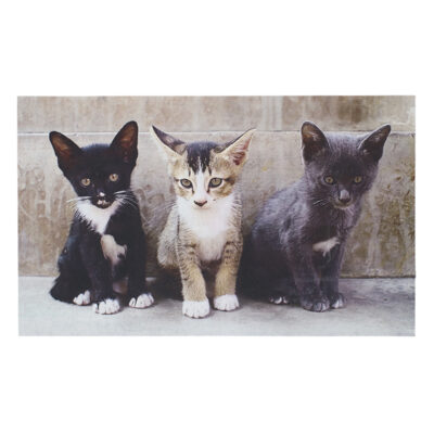 Kittens Doormat, Recycled Rubber