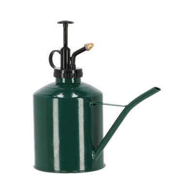 2-in-1 Watering Can and Mister, Green