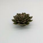 Dahlia Ceramic Flower, Sage - Small