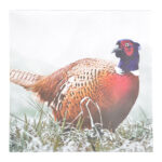 Pack of 20 Pheasant Napkins
